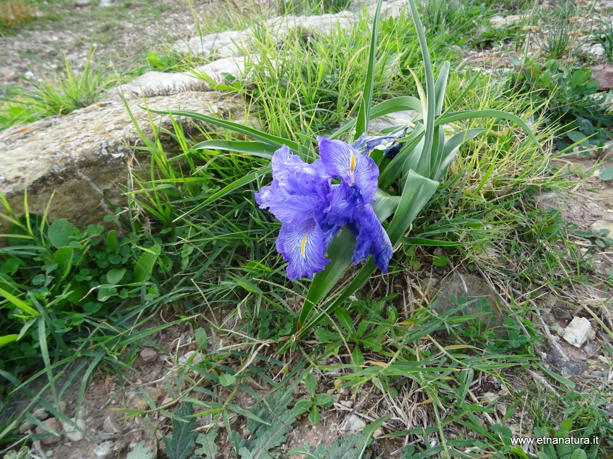 Eremo monte Turcisi